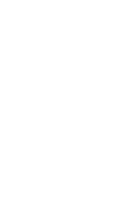 icon pin